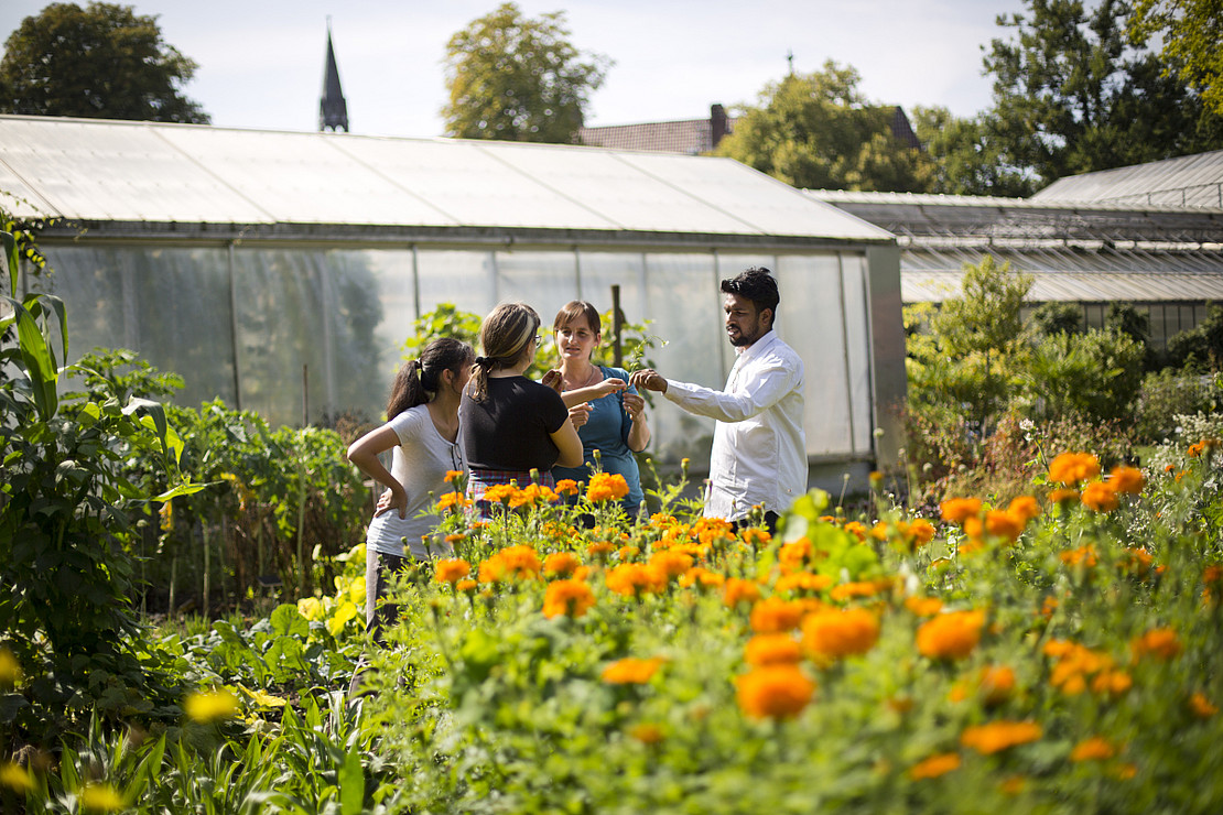 Vier Studierende stehen im Lehr- und Lerngarten und betrachten eine Pflanze