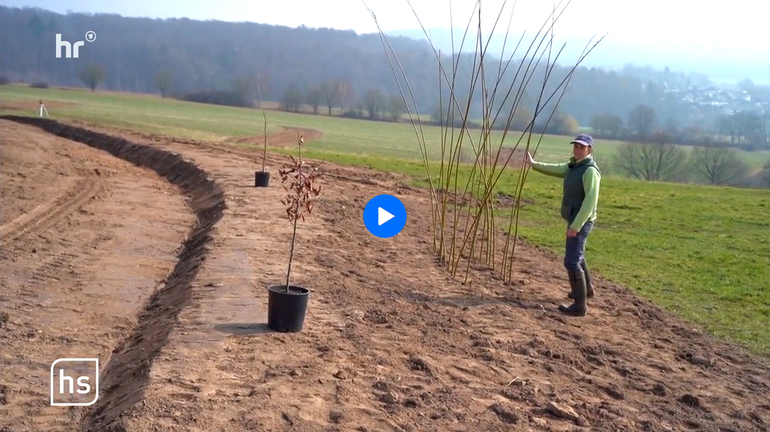 https://www.ardmediathek.de/video/hessenschau/gottsbueren-ruestet-sich-gegen-hochwassergefahr/hr/YThlNzQ3OTItNmU4NC00N2UyLThlYTYtOWYzMTE5MjczODlj