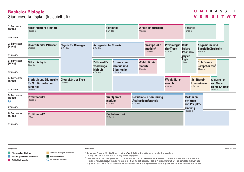  (opens enlarged image)Sample curriculum Biology Bachelor