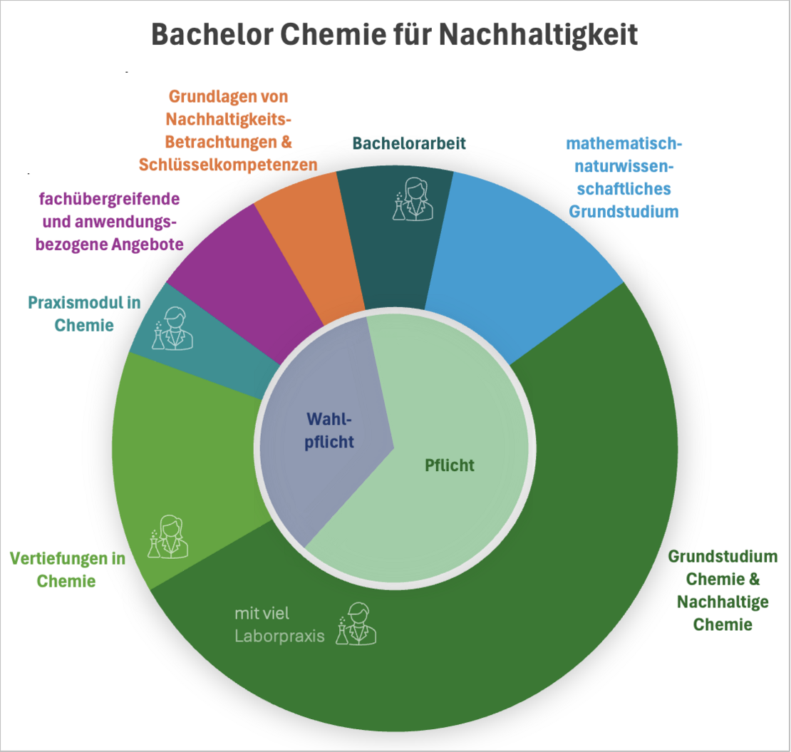  (öffnet Vergrößerung des Bildes)Kreisdiagramm, das die Anteile der Studienbereiche am Studienumfang zeigt 